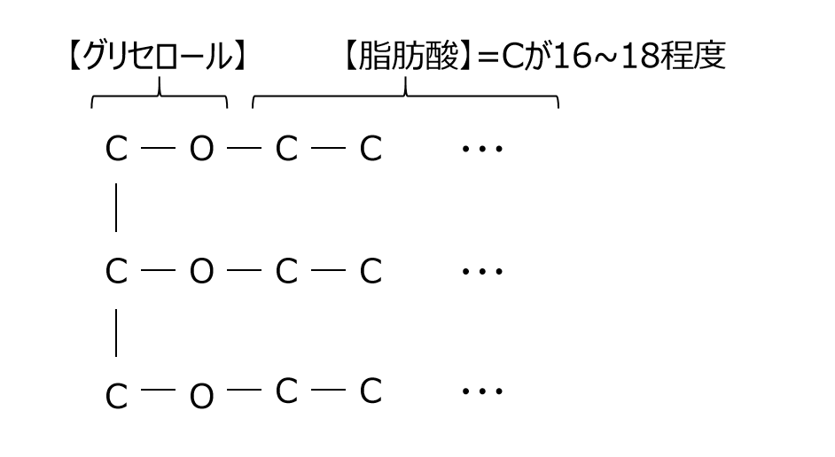 グリセロールと脂肪鎖の形状