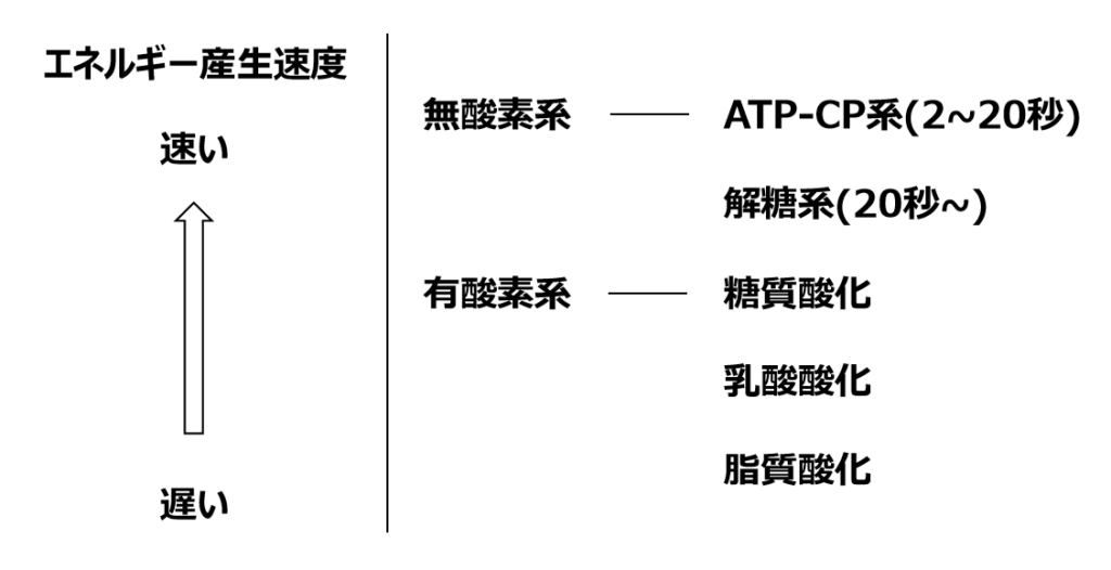 エネルギー源ATPを産み出す反応の一覧